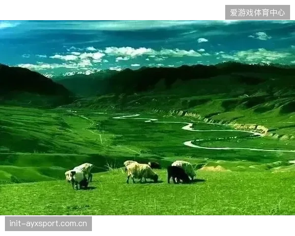 迦太基雄鹰面临湿热考验,球队需为北美夏季高温高湿赛区制定特别体能分配方案。 迦太基雄鹰面临湿热考验,球队需为北美夏季高温高湿赛区制定特别体能分配方案。